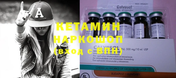 стаф Галич