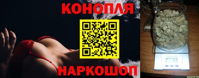гашик Ирбит