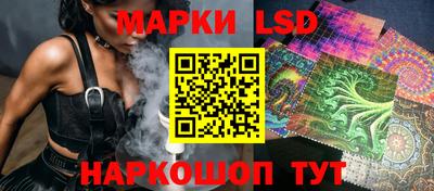 гашик Ирбит