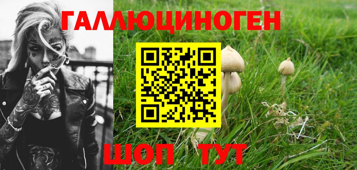 Лсд 25  Бошки Шишки  Старая Купавна  МЕФ  ГАШ  Вход с VPN  Меф МЯУ МЯУ кристаллы  КОКАИН 