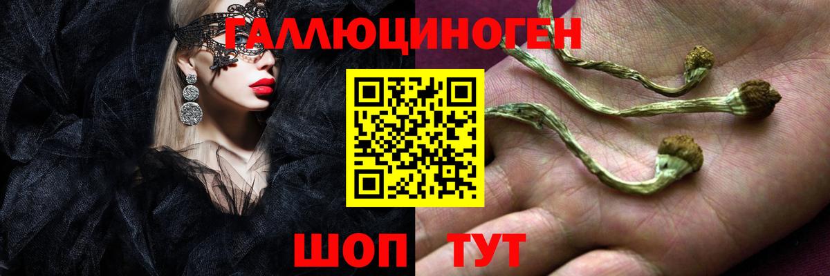 ГАШ Старая Купавна