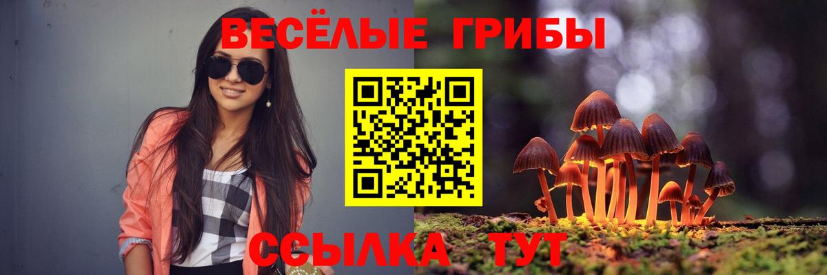Псилоцибиновые грибы Magic Shrooms Старая Купавна